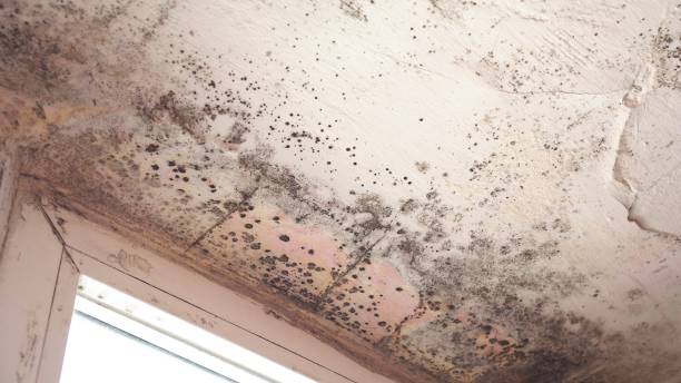 Water Leak Damage Repair